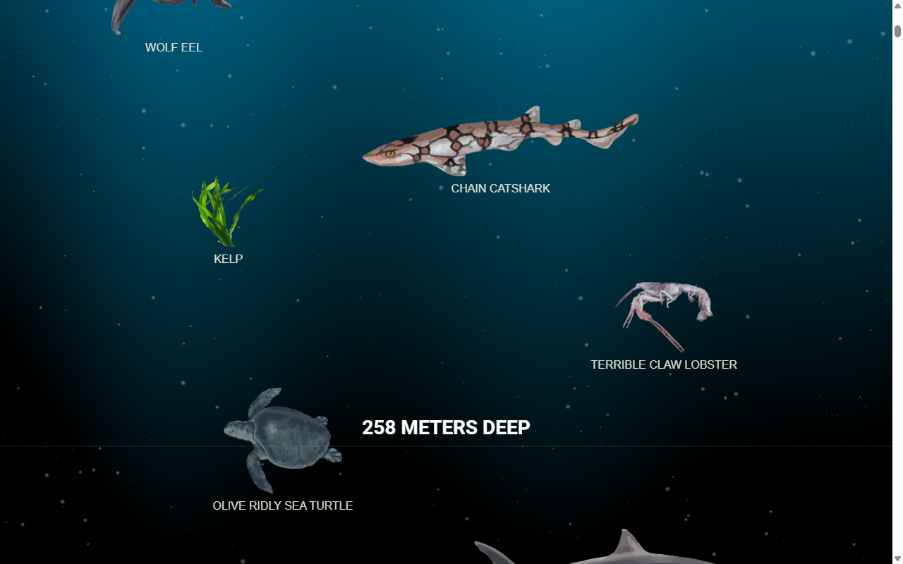 The Deep Sea แสดงสัตว์ที่ความลึก 258 เมตร