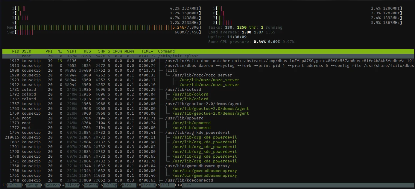 หน้าจอ htop แสดงแถบการใช้งาน CPU และ RAM ด้านบน พร้อมรายการโปรเซสที่กำลังทำงานด้านล่าง