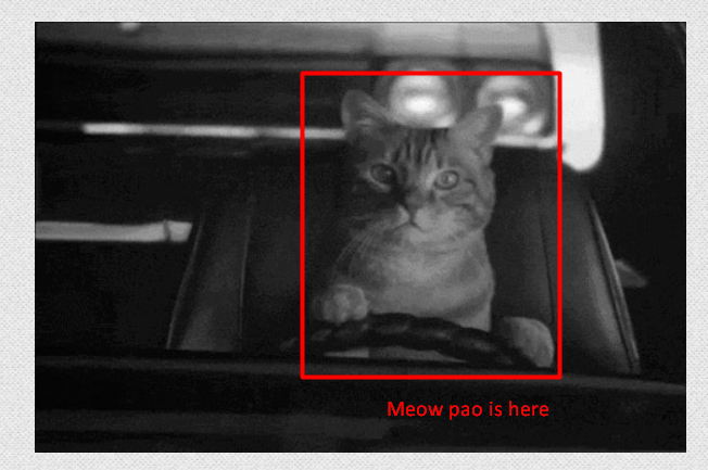 Lightshot screenshot result